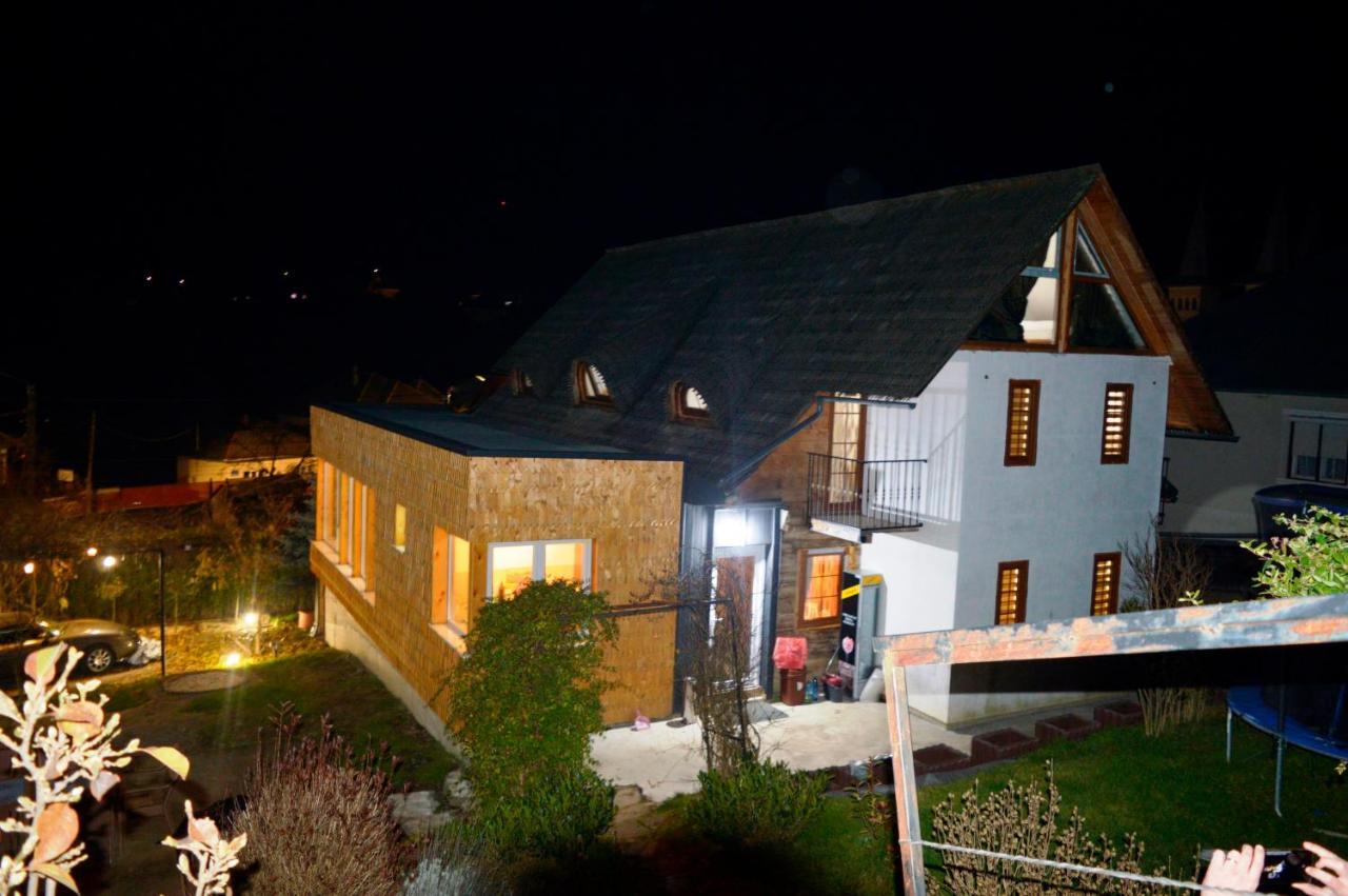 Casa Cu Magnolii Hotel Poienile Izei Exterior photo