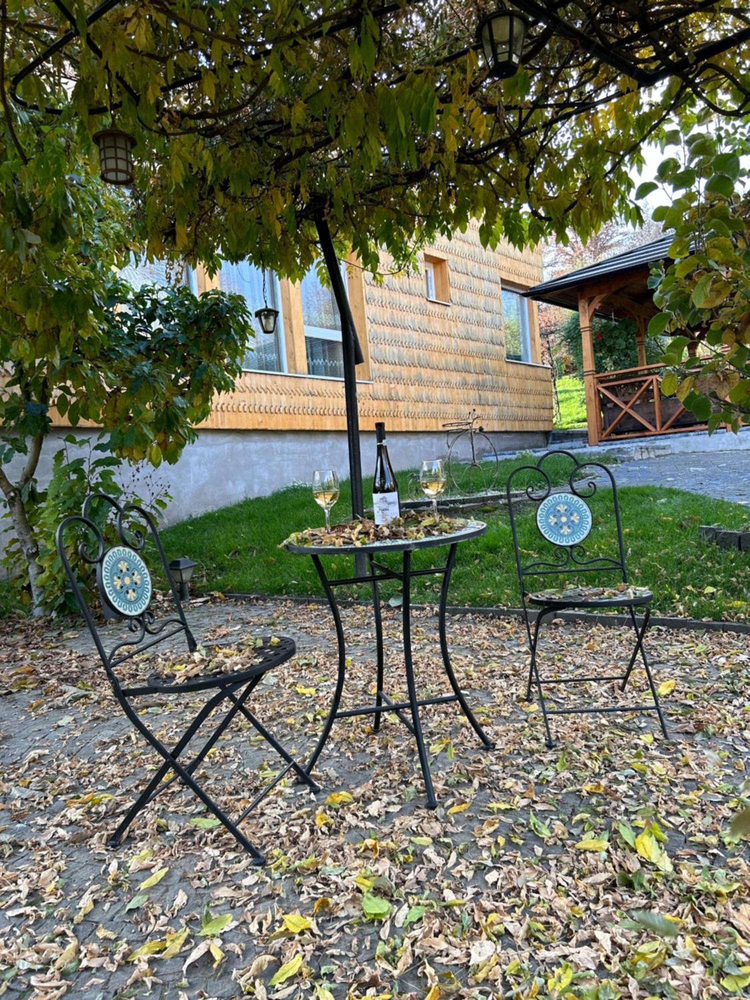 Casa Cu Magnolii Hotel Poienile Izei Exterior photo